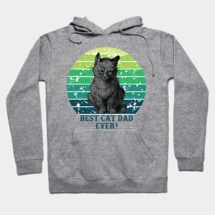 Best Cat Dad gift Hoodie